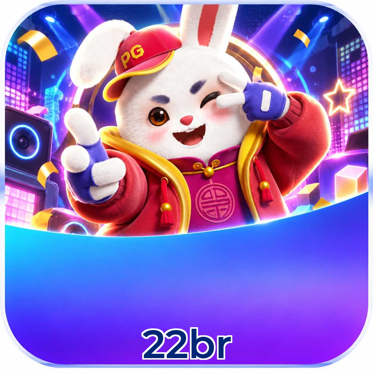 22br VIP FAQ