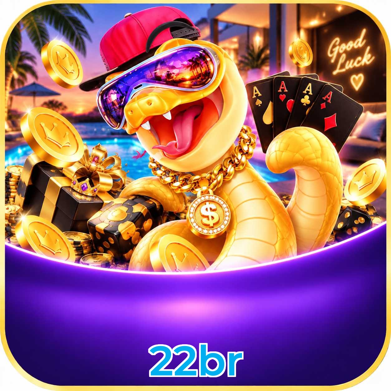 22br VIP Program